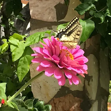 Bed & Breakfast Donna Concetta