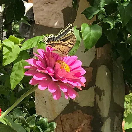 Donna Concetta Couette-café 3*